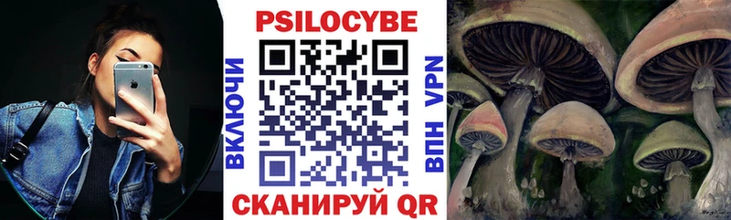 Купить закладки  Кадников  Галлюциногенные грибы прущие грибы 